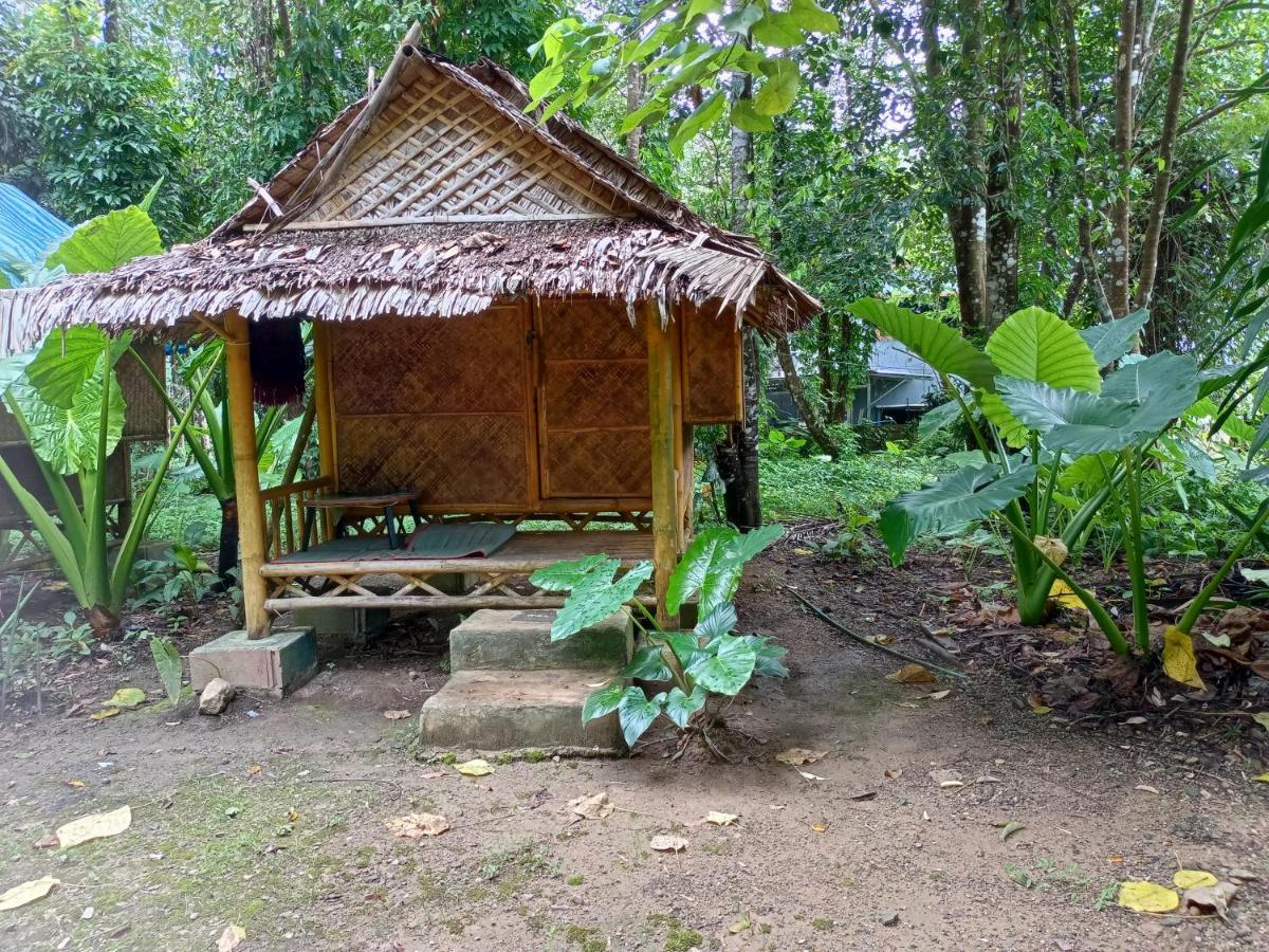 Апартаменты Khai Jungle Experience Camp & Tour Khao Sok National Park Экстерьер фото